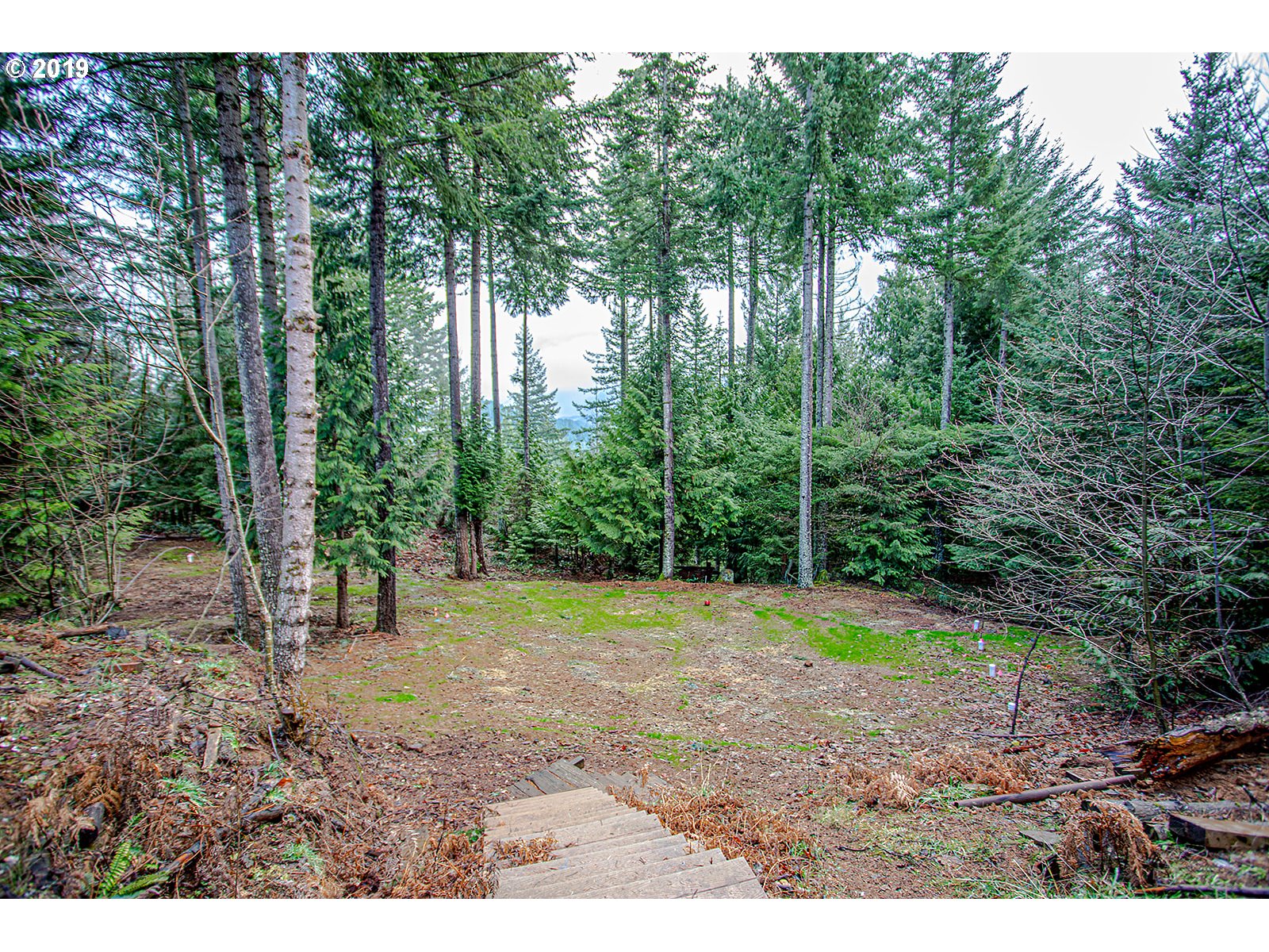 12 Buck Run Road Stevenson, WA 98648 - Photo 4 of 32