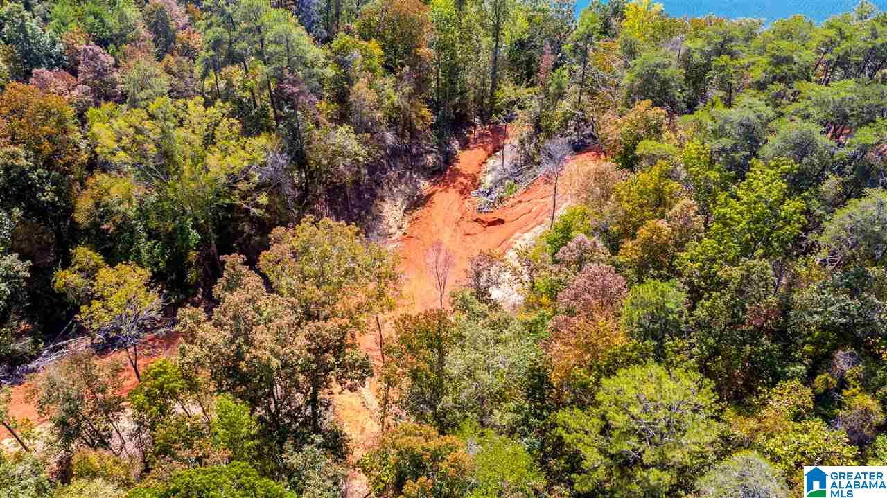 0 County Road 297 Cullman, AL 35057 - Photo 13 of 48