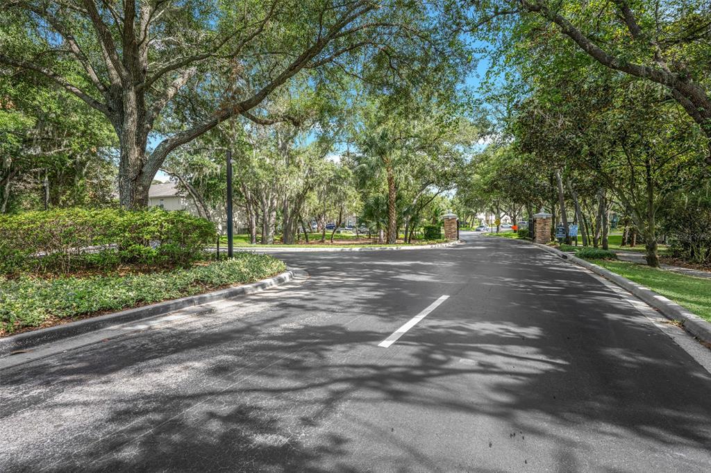 5842 Fishhawk Ridge Drive Lithia, FL 33547 - Photo 49 of 59