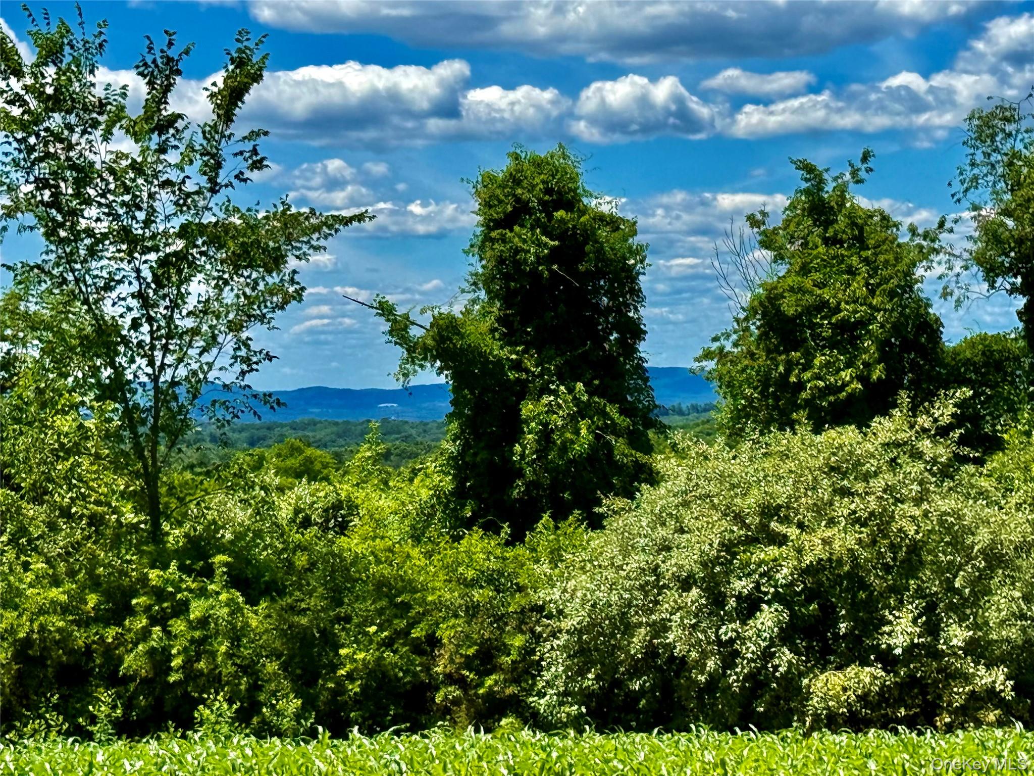 513 Rossway Road Pleasant Valley, NY 12569 - Photo 3 of 17 South East View