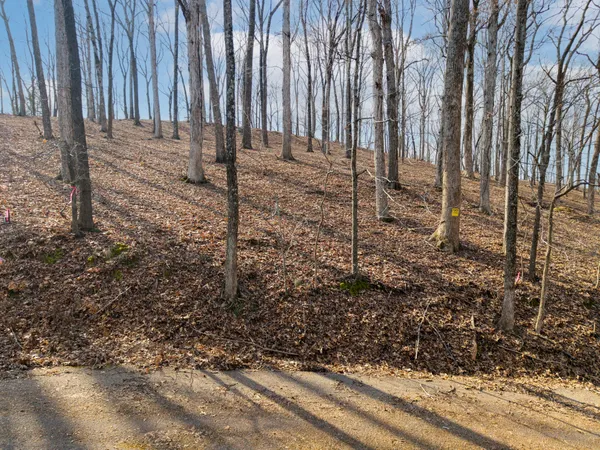 $850,000 | 412 Keck Lane, Buchanan, TN 38222