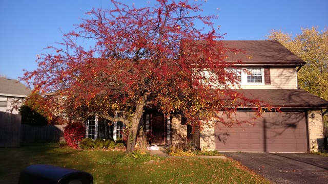 1966 Brookside Lane Hoffman Estates, IL 60169 - Photo 2 of 14