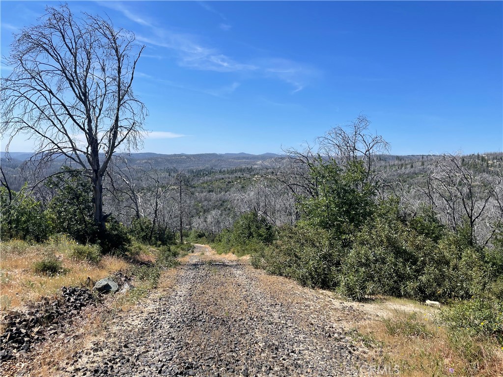 363 Raccoon Road Berry Creek, CA 95916 - Photo 26 of 27