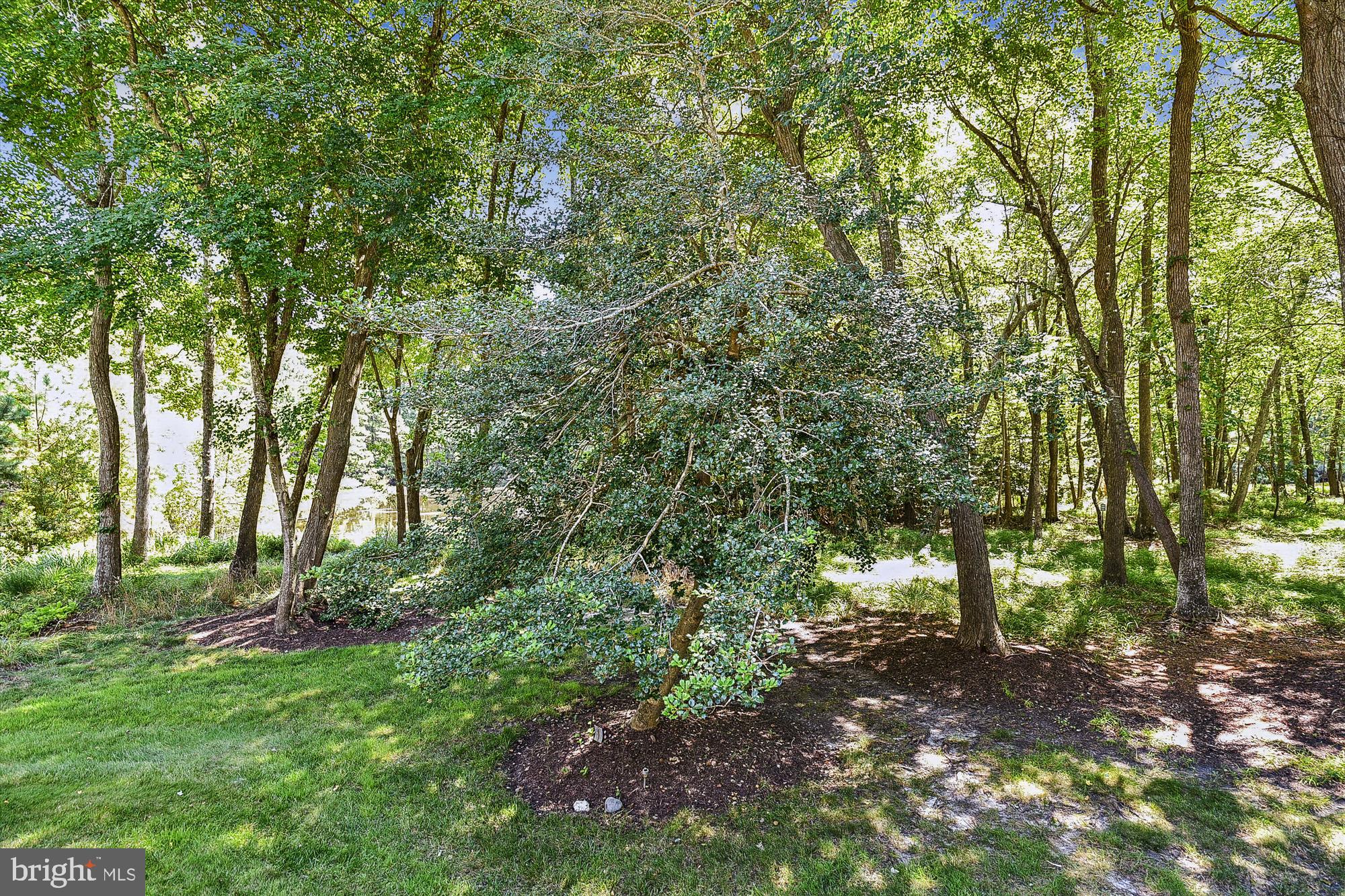 325 Walkabout Road Bethany Beach, DE 19930 - Photo 64 of 97 Gallery Image 64