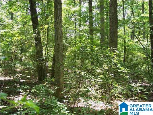 0 Powell Road Remlap, AL 35133 - Photo 7 of 19
