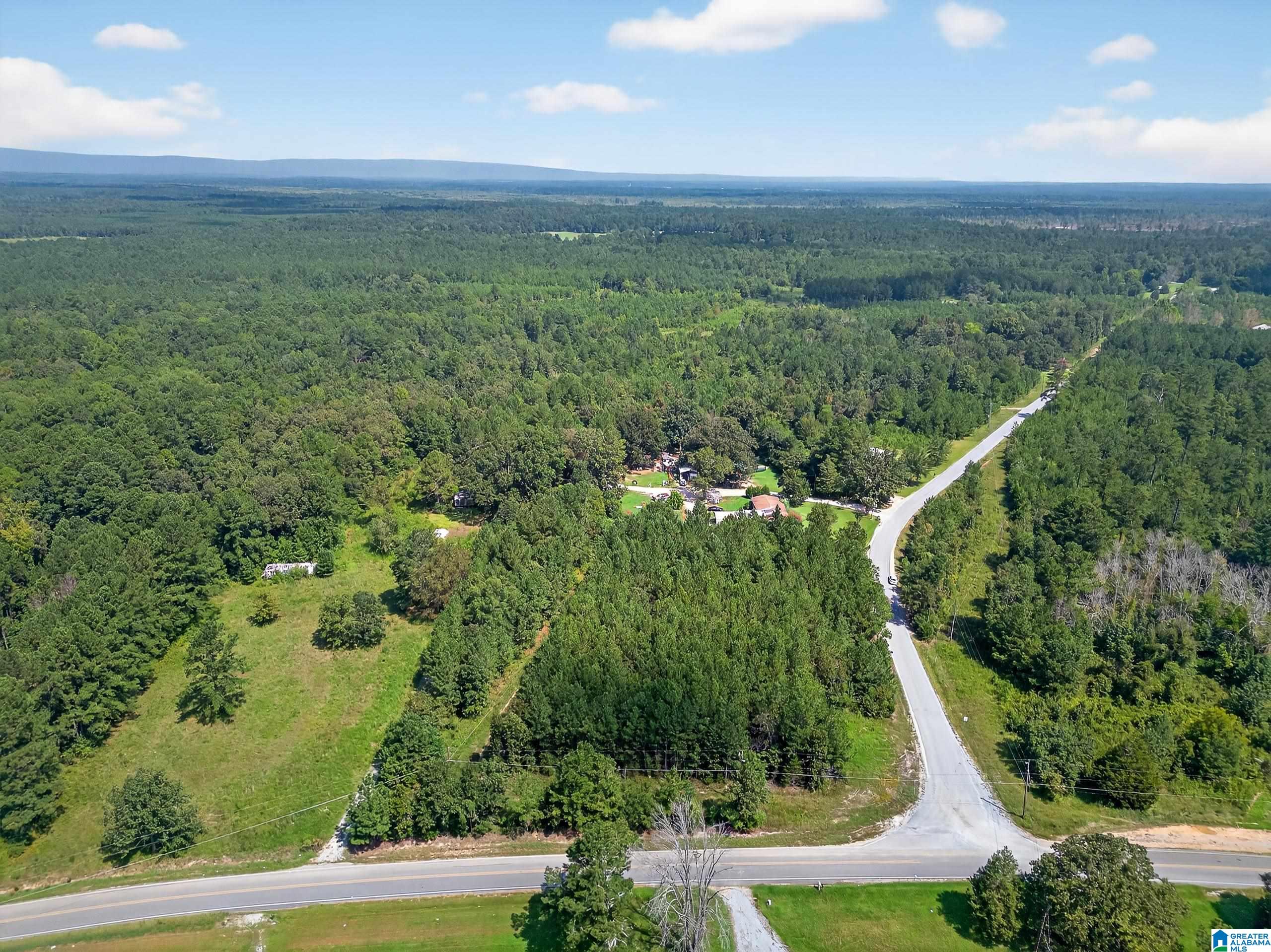 368 Jones Chapel Road Piedmont, AL 36272 - Photo 5 of 10