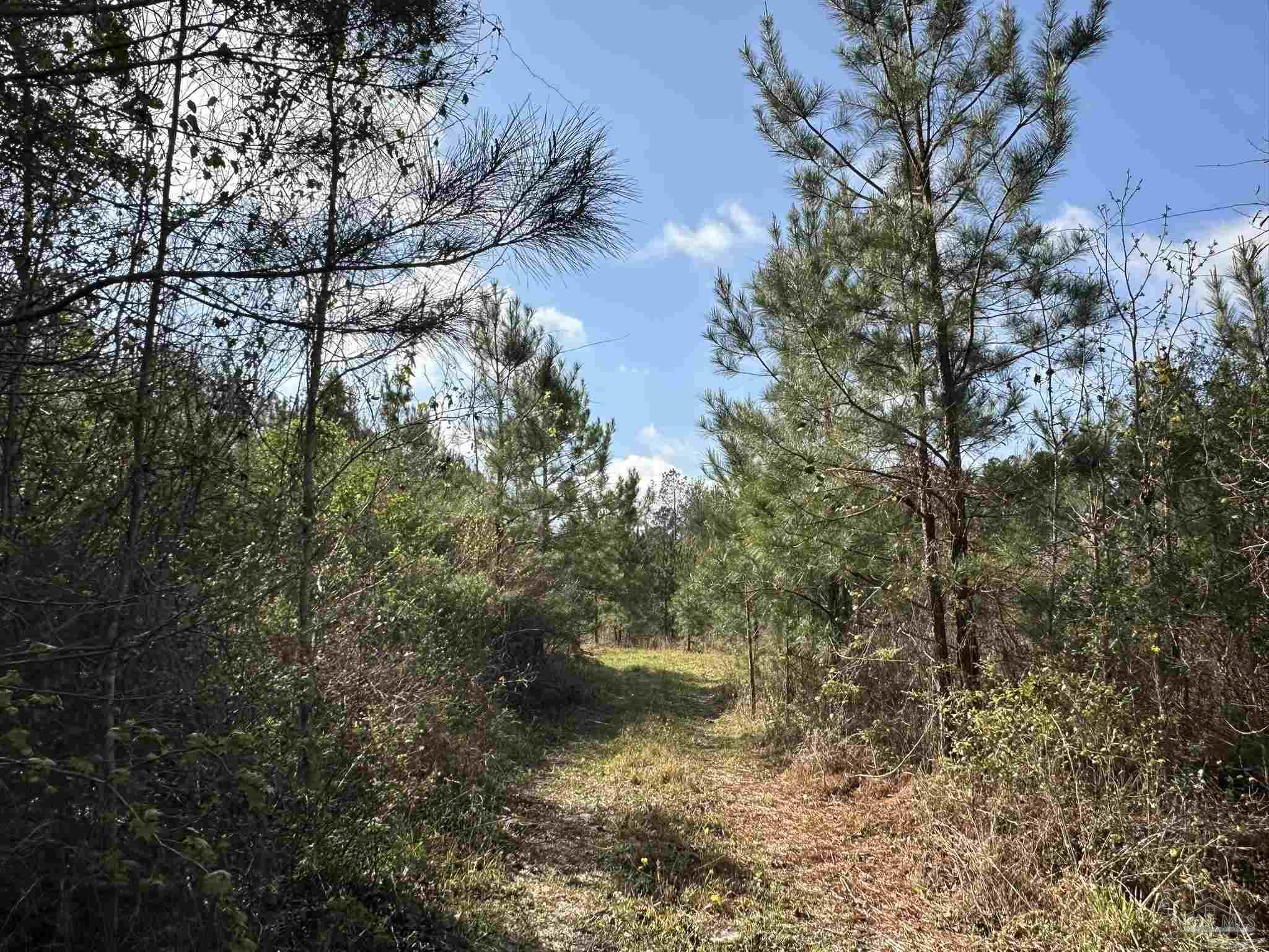 15-ac Snyder Road Frisco City, AL 36445 - Photo 1 of 22