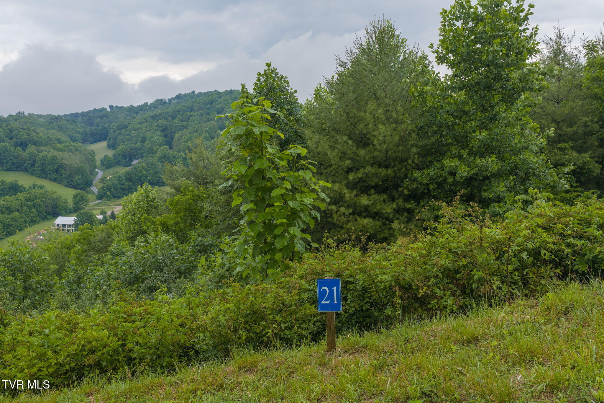 Lot 21 Eagle Rdg Parkway, Unit 21 Butler, TN 37640 - Photo 11 of 17 6-web-or-mls-DJI_20260601140745_0568_D