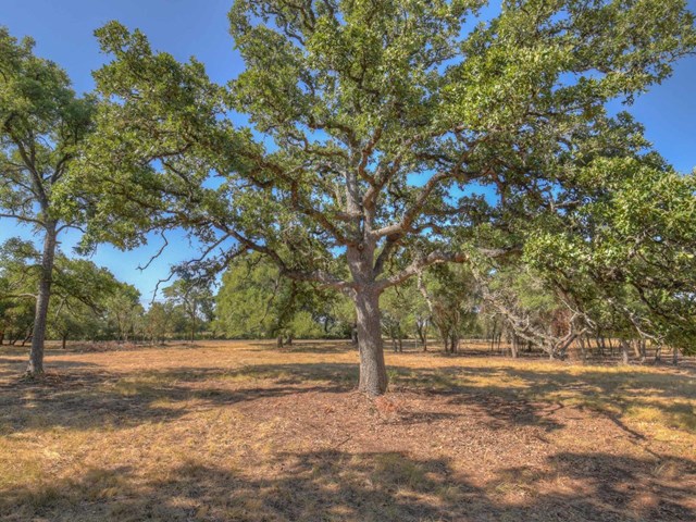 0 Chimney Valley Road Blanco, TX 78606 - Photo 1 of 1 Main View