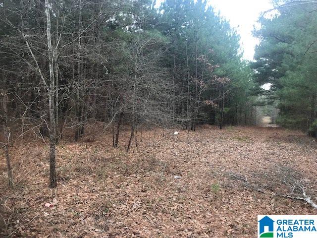 1 Marklund Road, Unit ACREAGE Empire, AL 35063 - Photo 2 of 4