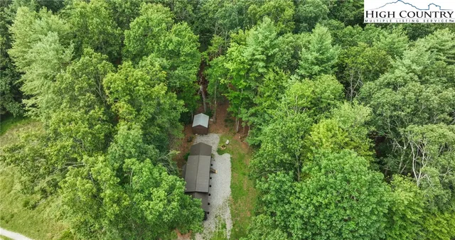 a view of a yard with plants