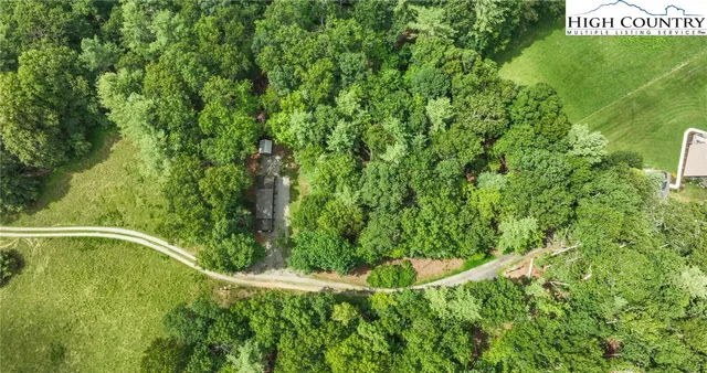 a view of a city with lush green forest