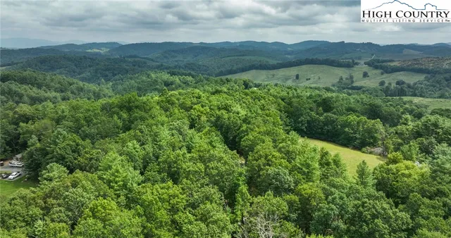 a picture of street with lots of trees