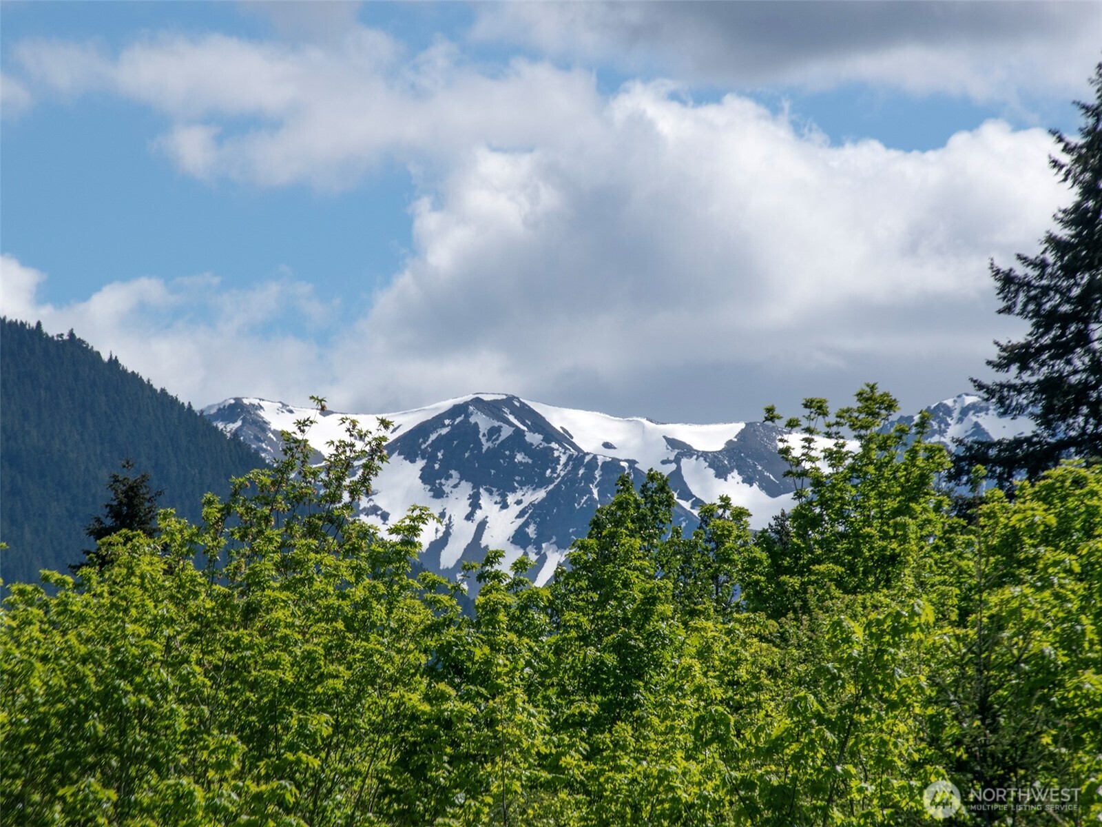 9999 Kruse Road Port Angeles, WA 98362 - Photo 15 of 39