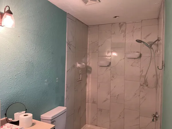 a bathroom with a shower and toilet
