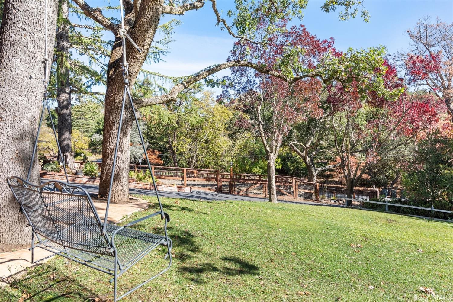 4912 John Muir Road Martinez, CA 94553 - Photo 42 of 59 a view of a yard with a tree