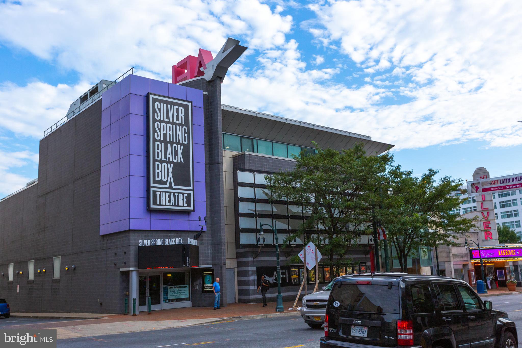 9004 Bradford Road Silver Spring, MD 20901 - Photo 47 of 60 Close to Theaters