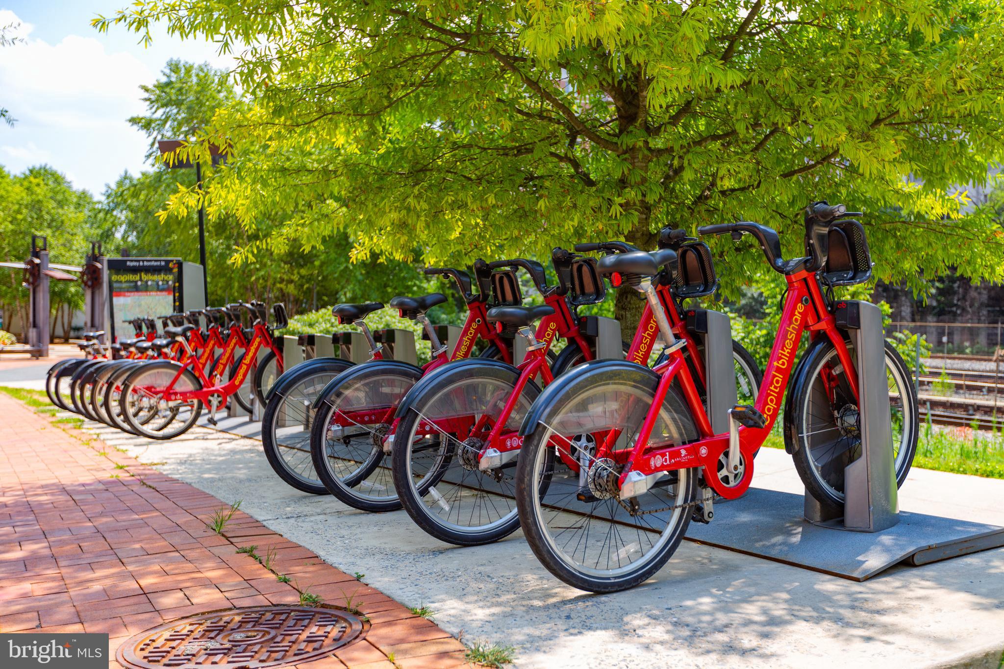 9004 Bradford Road Silver Spring, MD 20901 - Photo 55 of 60 Close to Bike Share