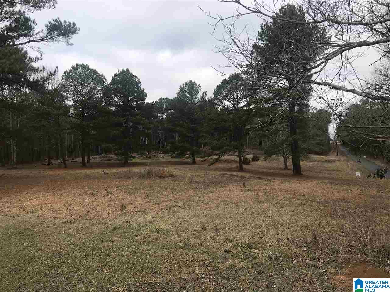 7454 Turner Road, Unit LOT 3 Dora, AL 35062 - Photo 1 of 2