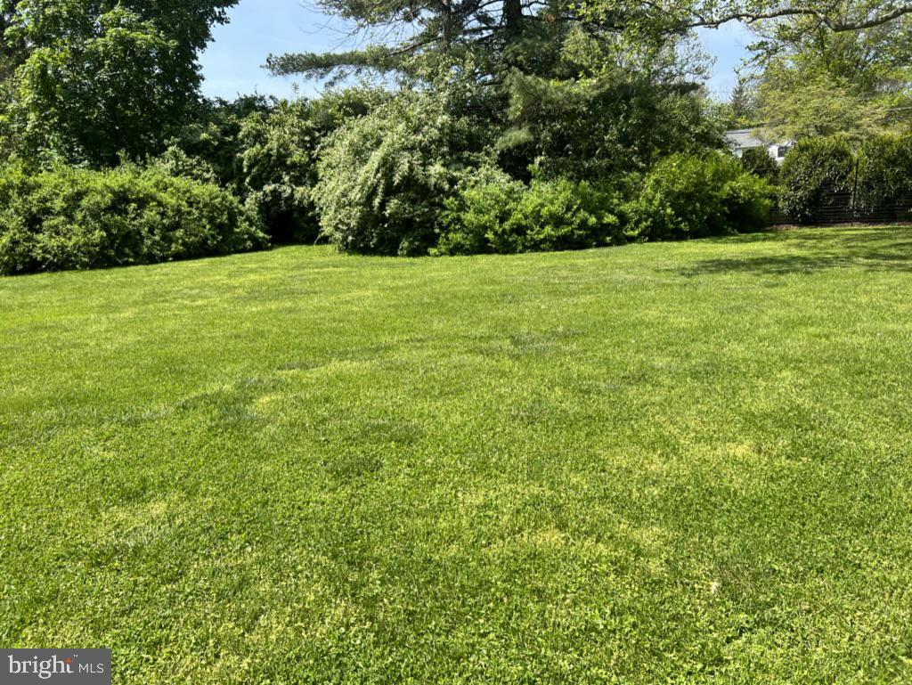 178 Herrontown Road Princeton, NJ 08540 - Photo 11 of 13 Large backyard