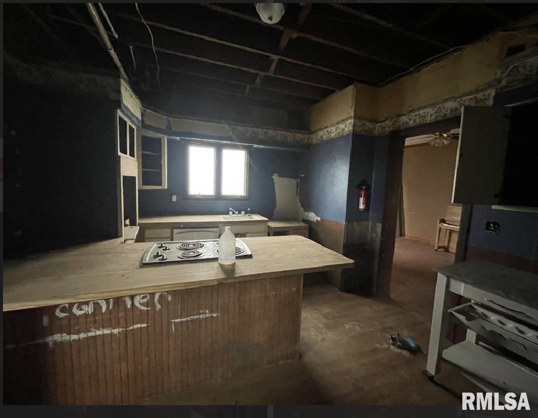 203 East Washington Street Avon, IL 61415 - Photo 15 of 32