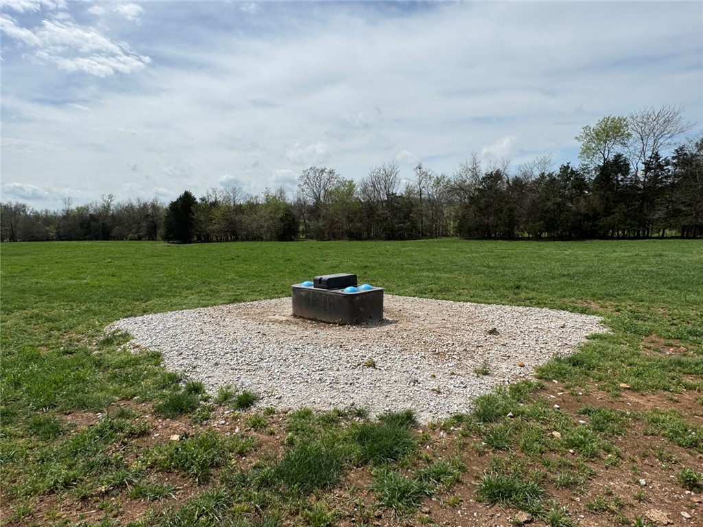 10191 Rally Hill Road Everton, AR 72633 - Photo 21 of 59 View of green lawn