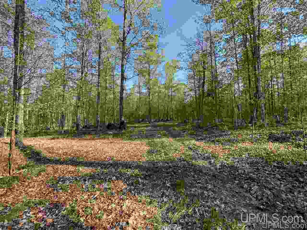 Tbd Sand Road, Unit 1 Powers, MI 49874 - Photo 24 of 47 Gallery Image 24