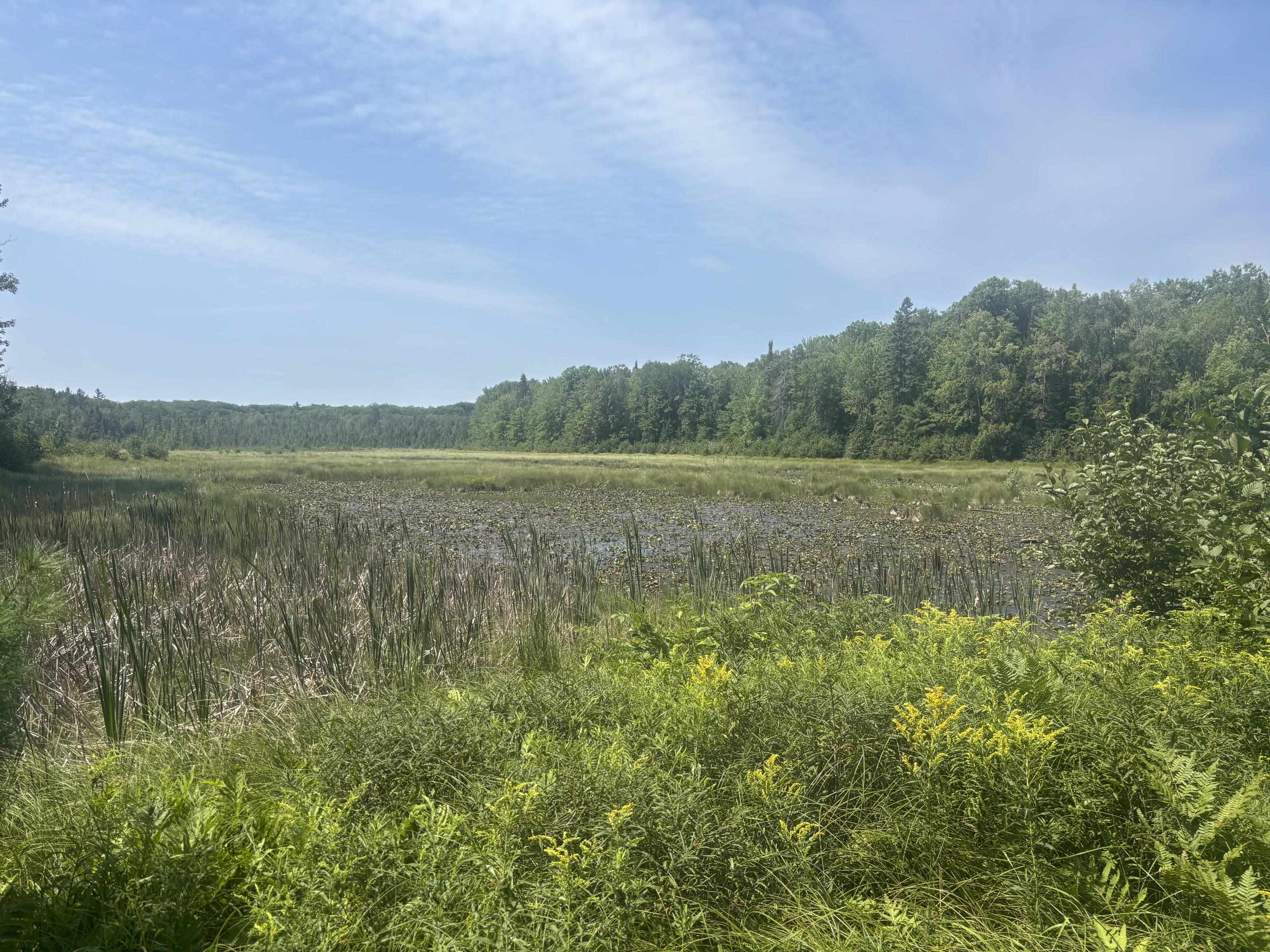 W9460 1 Mile Road Dunbar, WI 54119 - Photo 17 of 56 Gallery Image 17