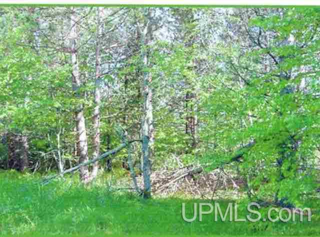 Tbd Koehmstedt Road, Unit 130 Hurley, WI 54534 - Photo 6 of 7