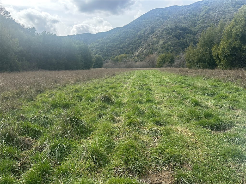 9000 Scotts Valley Road Upper Lake, CA 95485 - Photo 1 of 13 a view of grassy field with mountain