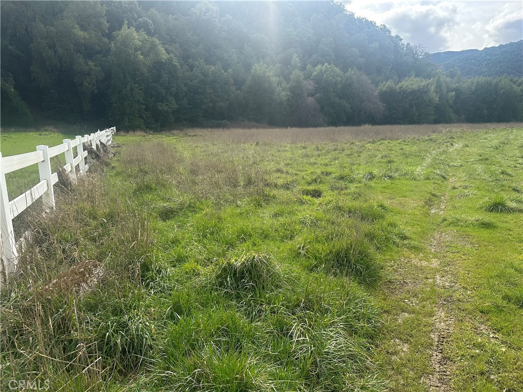 9000 Scotts Valley Road Upper Lake, CA 95485 - Photo 2 of 13 a view of yard