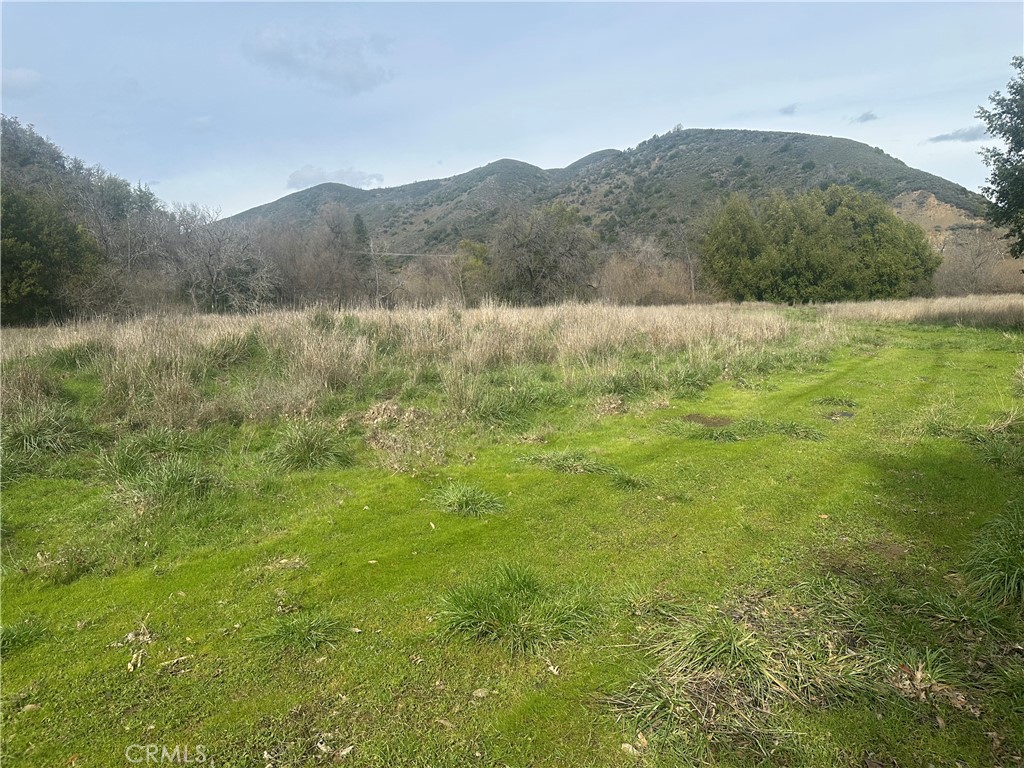 9000 Scotts Valley Road Upper Lake, CA 95485 - Photo 4 of 13 a view of mountain with green field