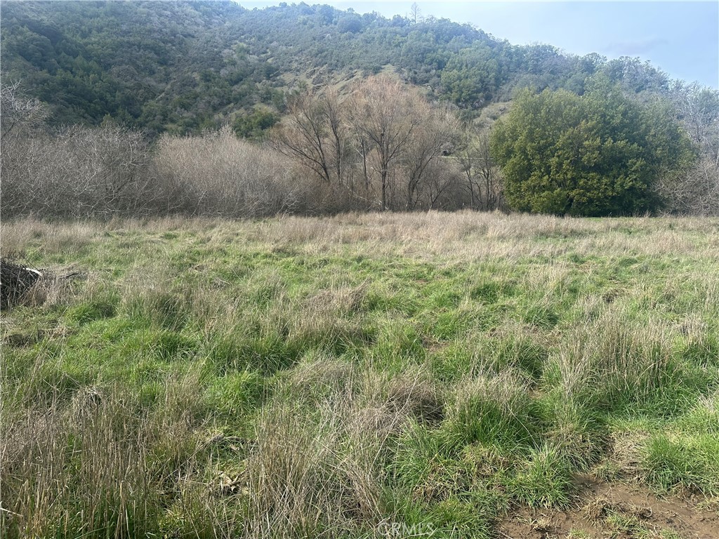 9000 Scotts Valley Road Upper Lake, CA 95485 - Photo 6 of 13 a view of outdoor space and green field