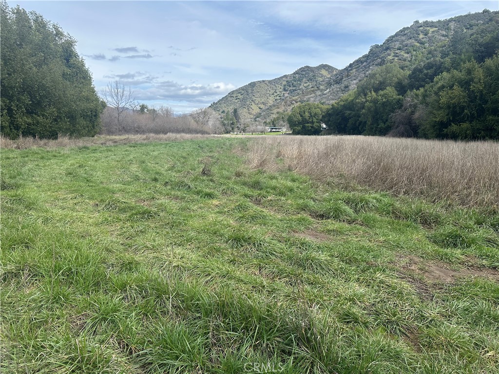 9000 Scotts Valley Road Upper Lake, CA 95485 - Photo 10 of 13 a view of lush green field