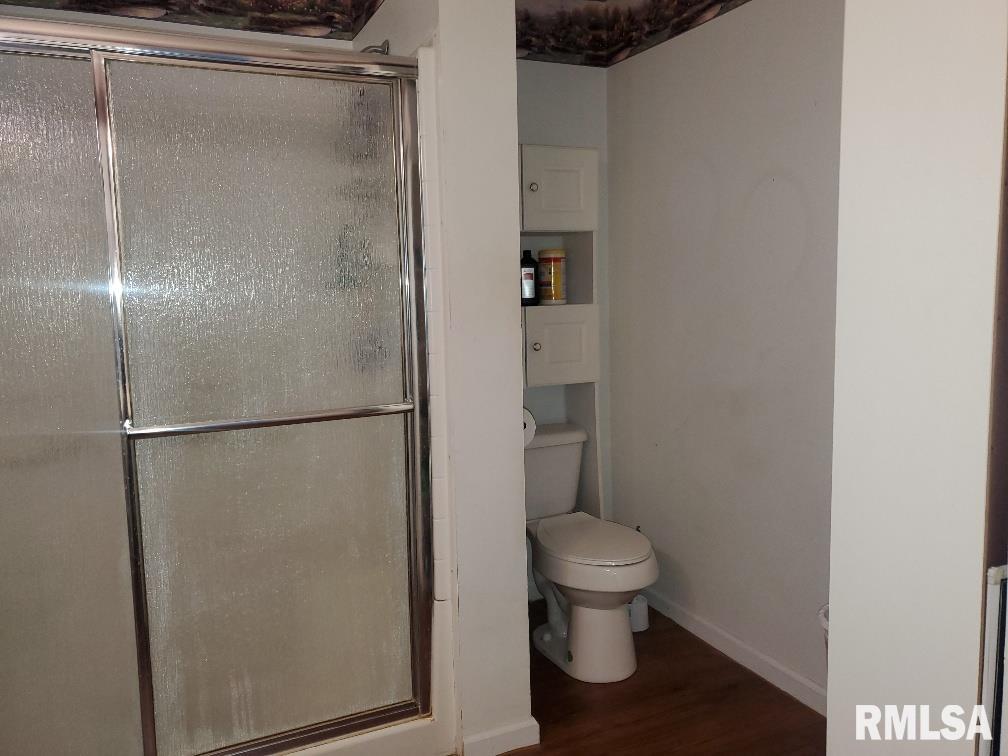 320 Sutton Lane Thebes, IL 62990 - Photo 18 of 19