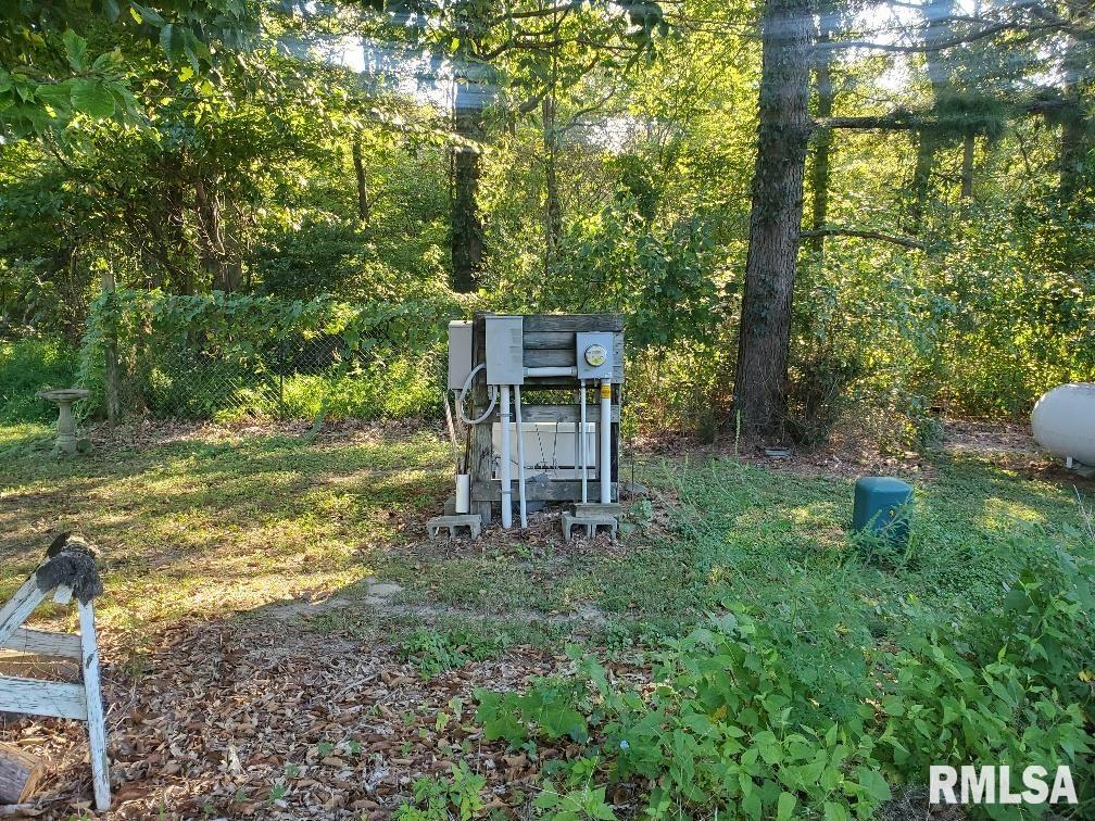 320 Sutton Lane Thebes, IL 62990 - Photo 6 of 19