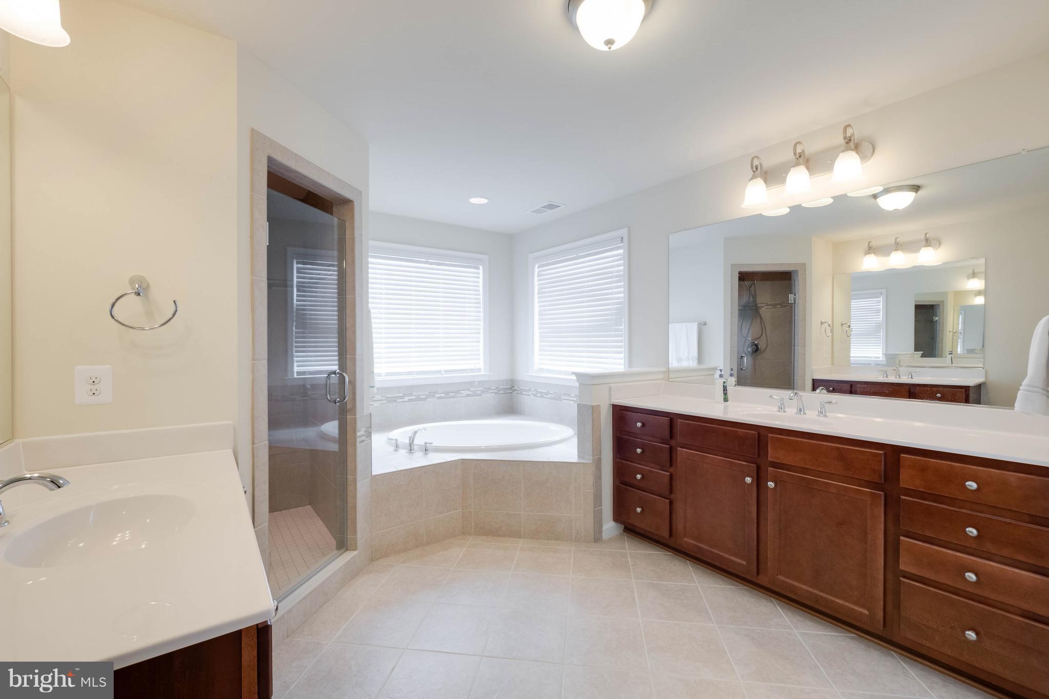1227 Brittle Ridge Road Warrenton, VA 20187 - Photo 16 of 30 Luxurious Master Bathroom