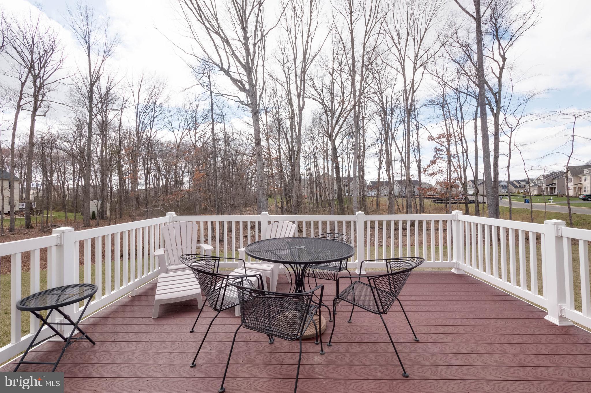 1227 Brittle Ridge Road Warrenton, VA 20187 - Photo 29 of 30 Large Trex Deck Overlooking Trees