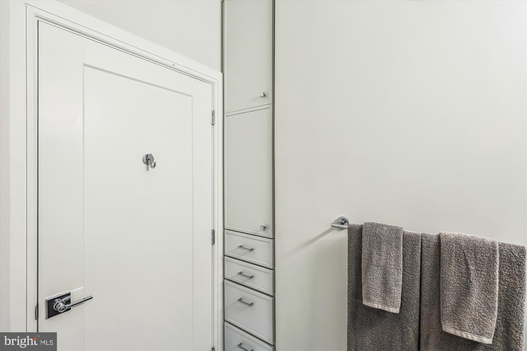 625 Slaters Lane, Unit 407 Alexandria, VA 22314 - Photo 25 of 42 Additional Custom Cabinetry in Hall Bath