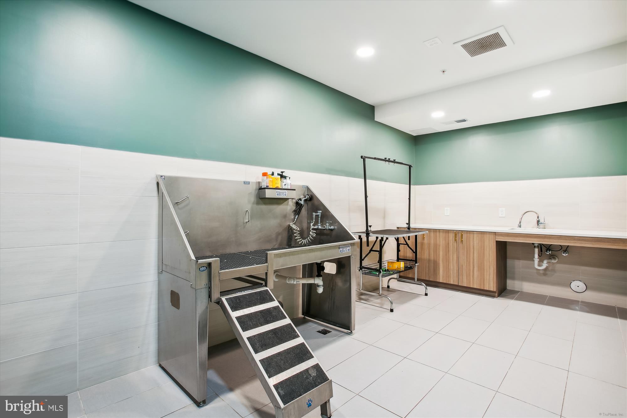 625 Slaters Lane, Unit 407 Alexandria, VA 22314 - Photo 40 of 42 Doggie Spa/Wash Room