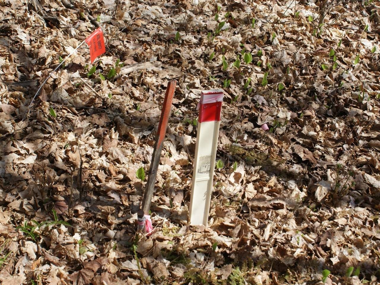 8142 Ridge Road Presque Isle, WI 54557 - Photo 35 of 50 Gallery Image 35