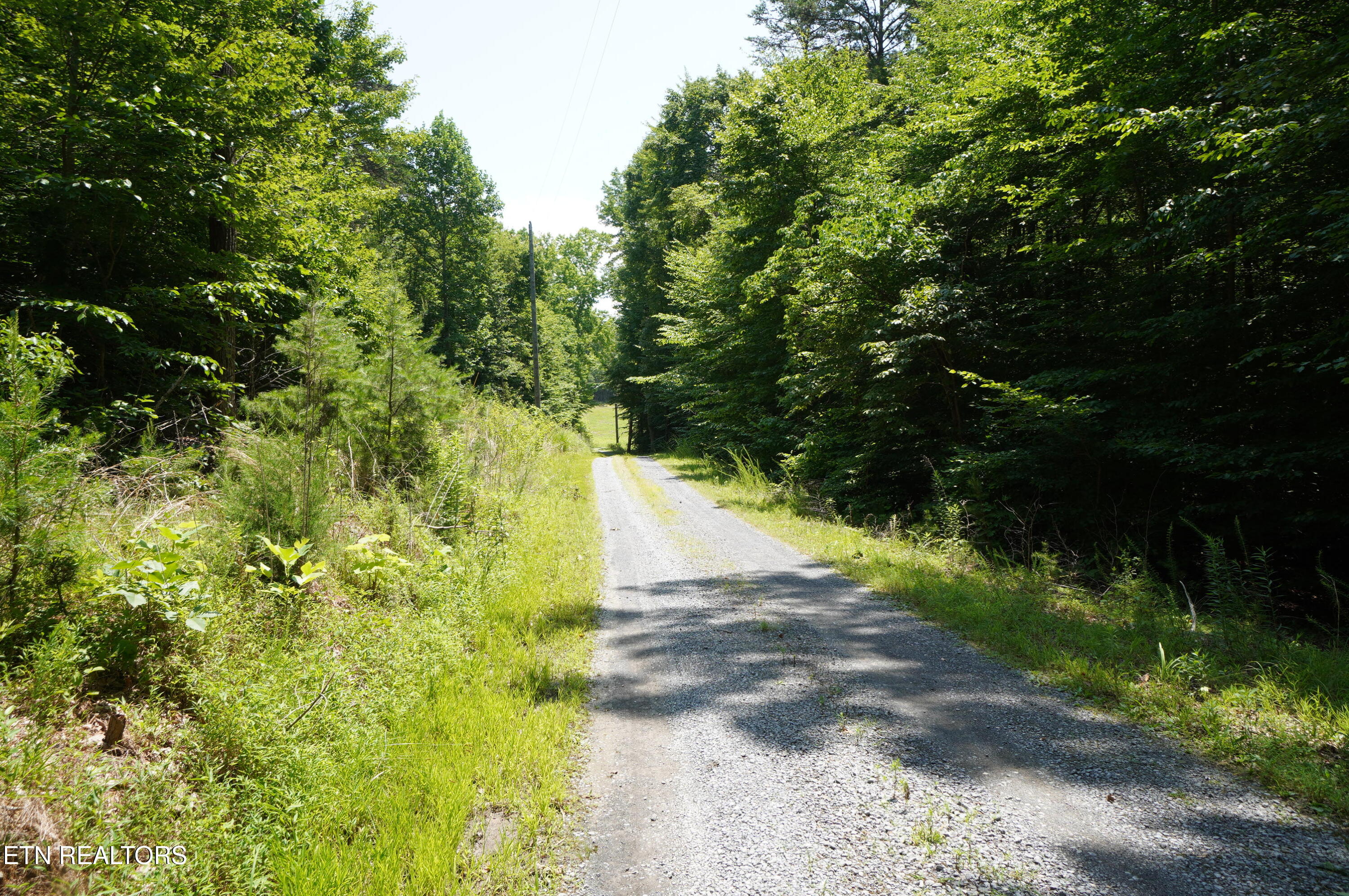 0 Rhyne Camp Road Newport, TN 37821 - Photo 15 of 19 camp rhyne rd (4)