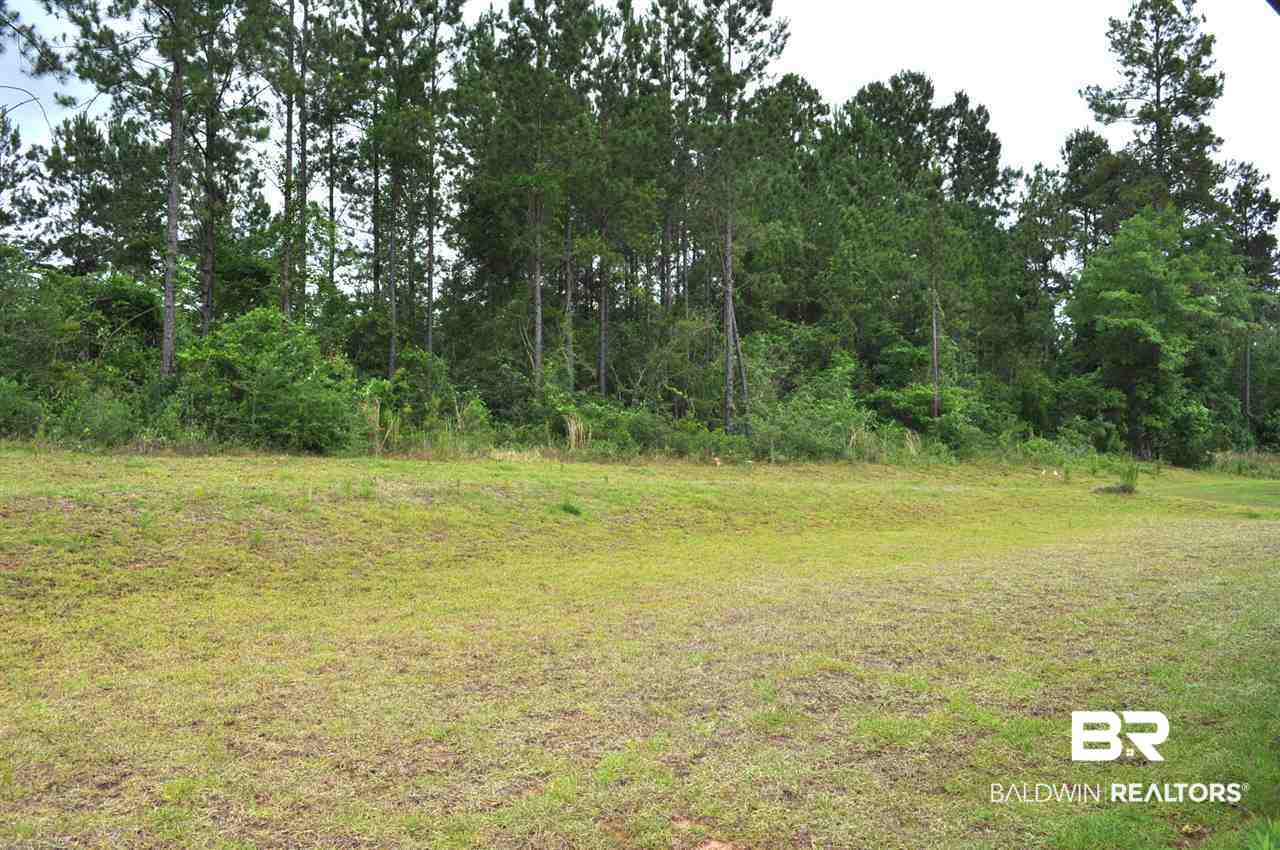 31543 Spoonbill Road Daphne, AL 36527 - Photo 19 of 19 Backyard