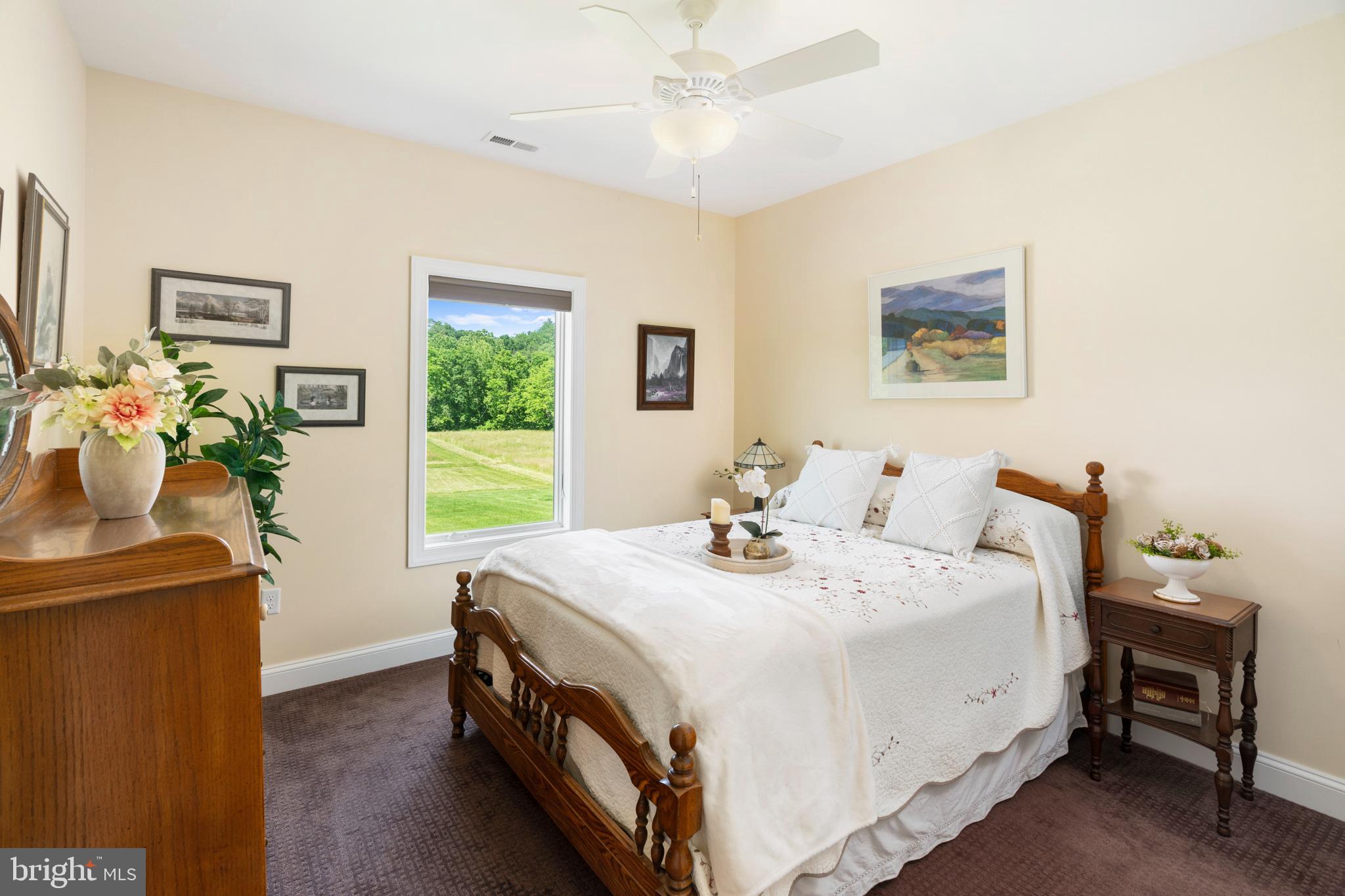 501 Forest View Road Edinburg, VA 22824 - Photo 23 of 68 Gallery Image 23