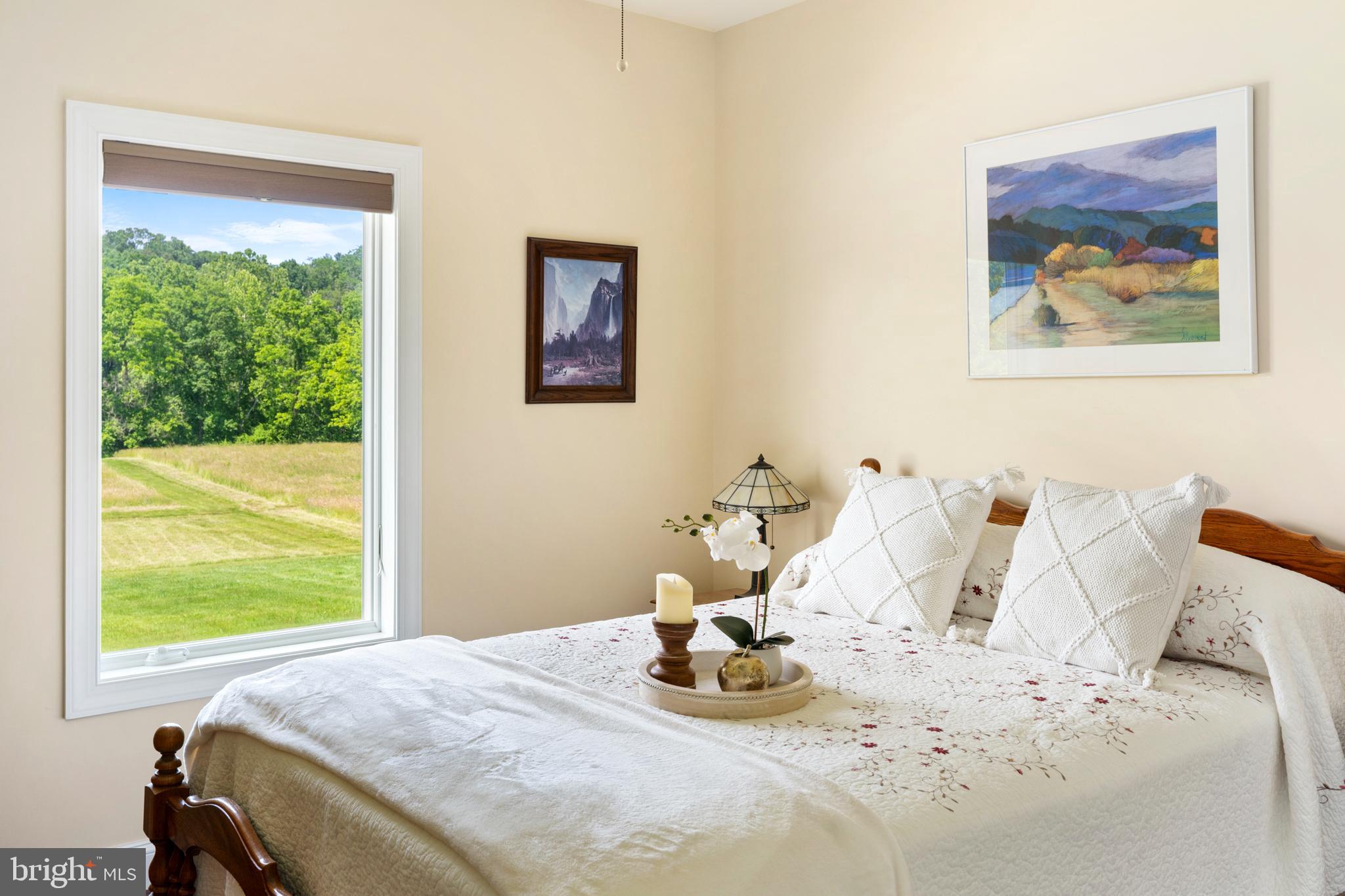 501 Forest View Road Edinburg, VA 22824 - Photo 24 of 68 Gallery Image 24
