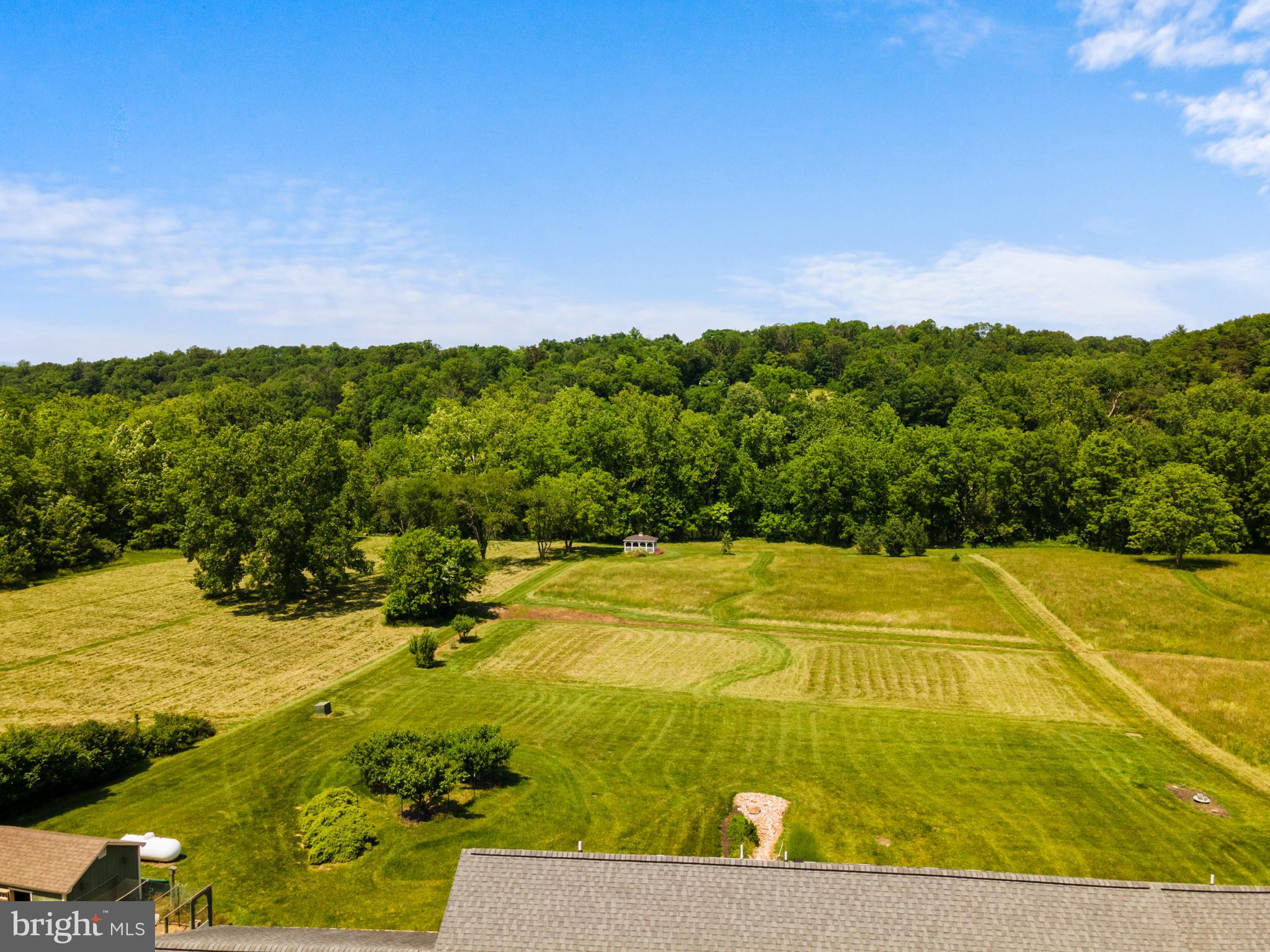 501 Forest View Road Edinburg, VA 22824 - Photo 10 of 68 Gallery Image 10
