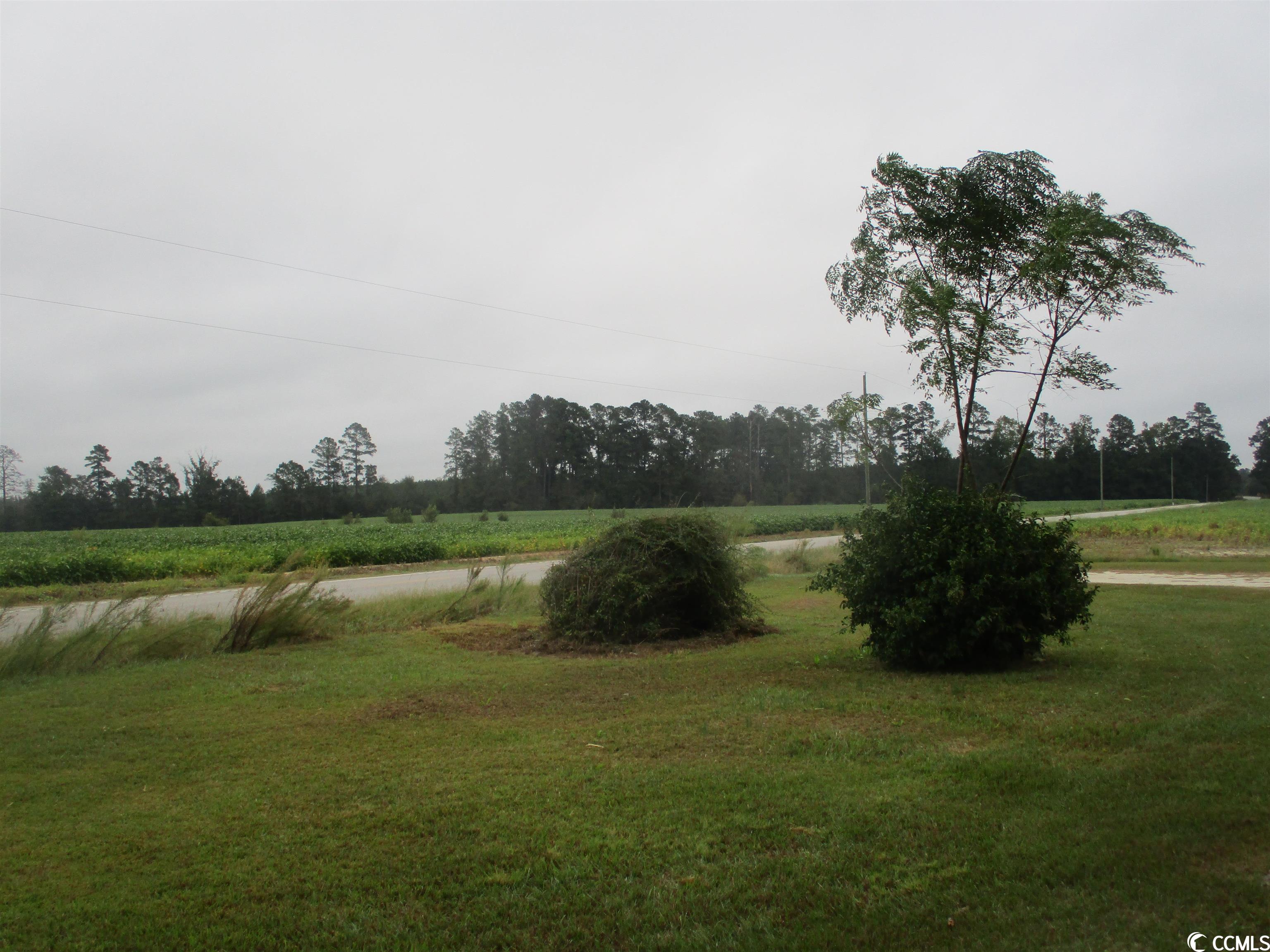 2799 Joann Branch Road Dillon, SC 29536 - Photo 4 of 12 Gallery Image 4