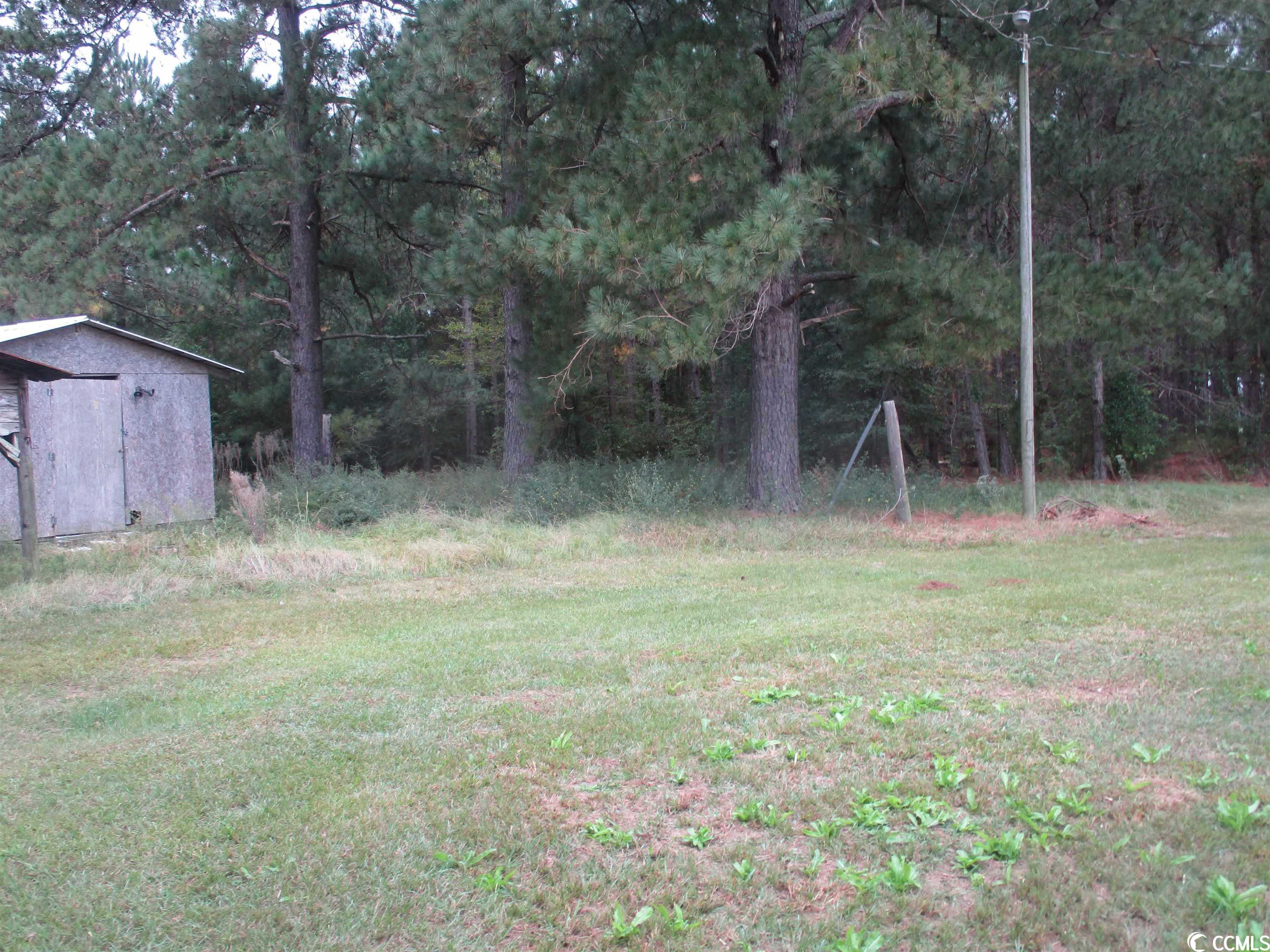 2799 Joann Branch Road Dillon, SC 29536 - Photo 6 of 12 Gallery Image 6