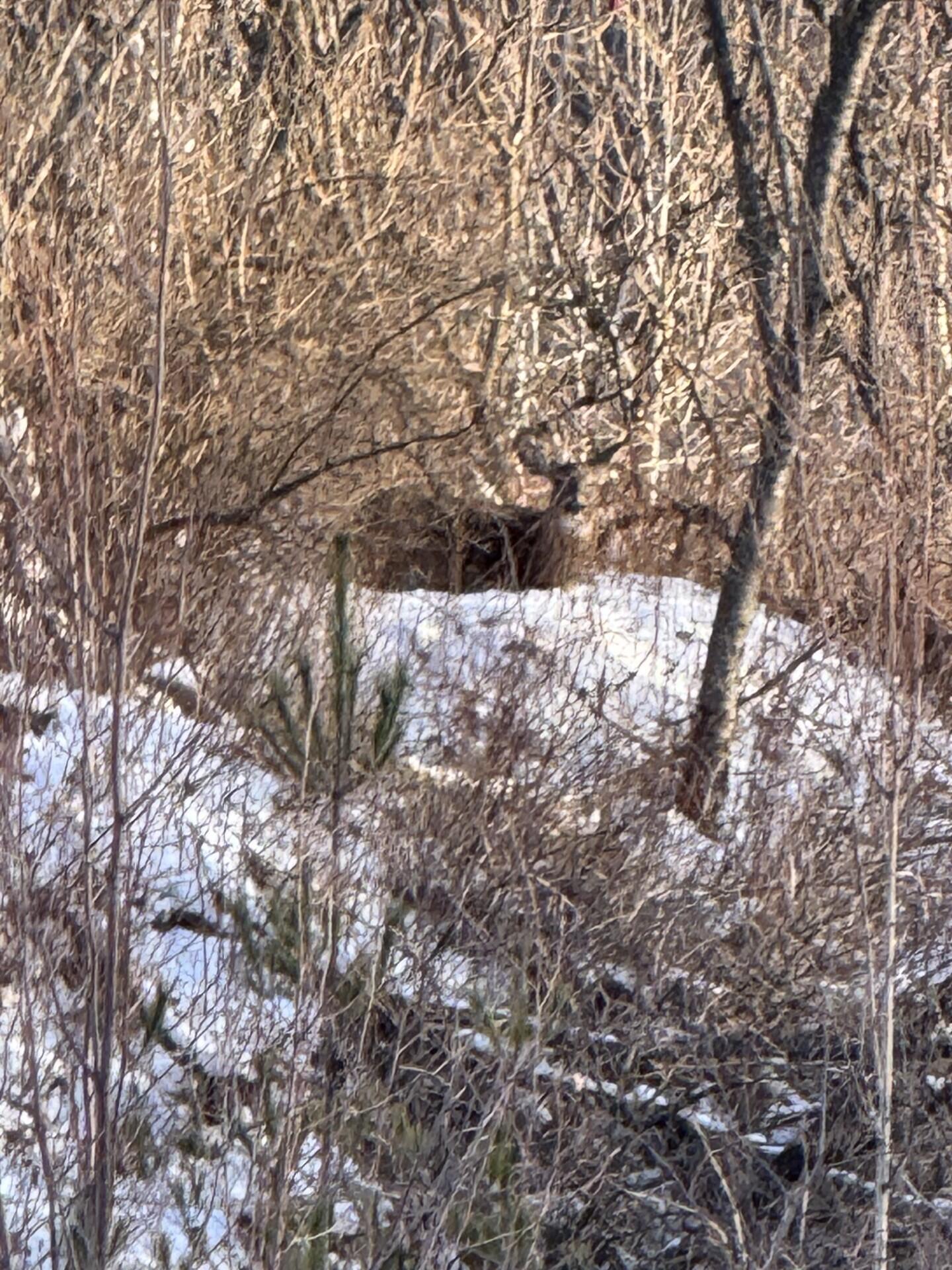 0 Flat Rock Road Morrisonville, NY 12962 - Photo 6 of 6 thumbnail_IMG_3598