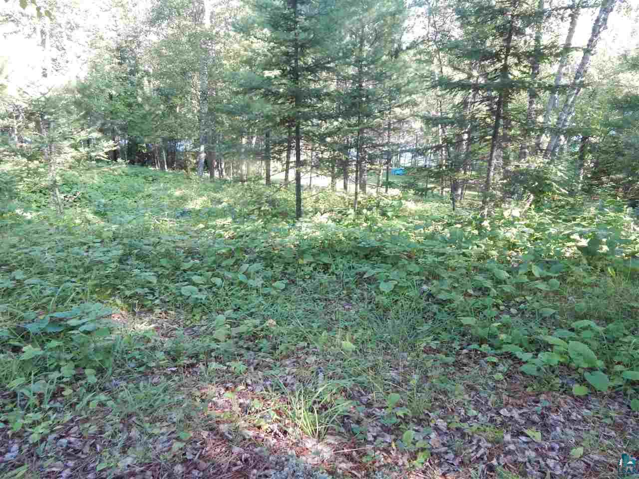 607 Kellys Lots Road Ely, MN 55731 - Photo 34 of 35
